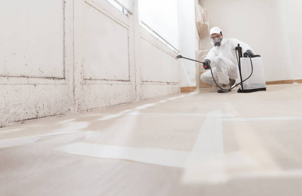 24/7 Emergency Attic Mold Removal experts in Kilmarnock, VA